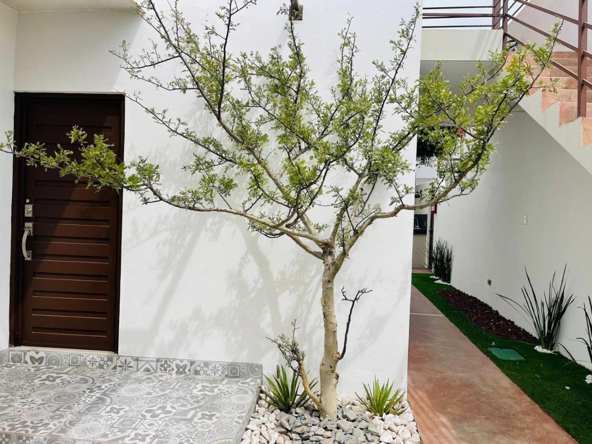 Casa Maya La Paz Eksteriør billede